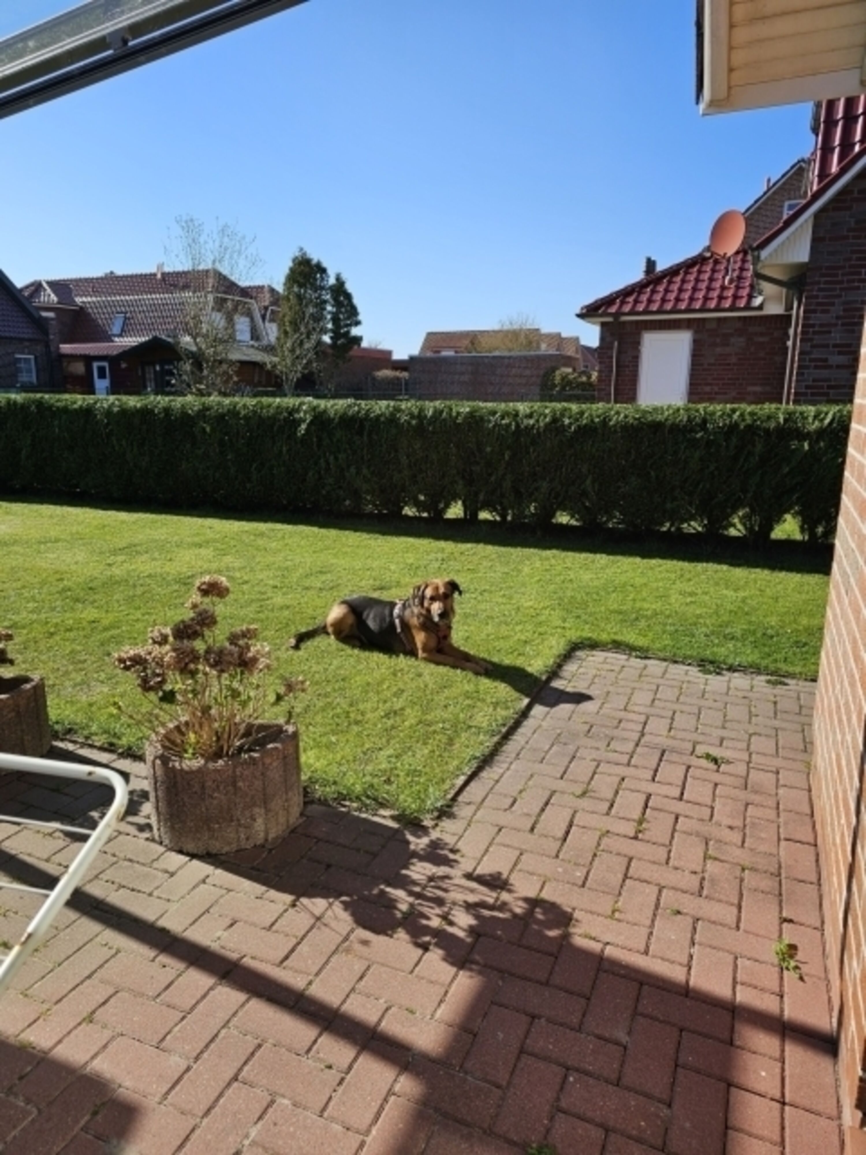 Eingezäunter Garten 