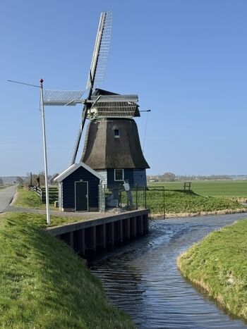 Windmühle in der Nähe 