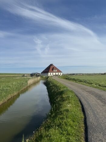 Die Anlage liegt umgeben von vielen Poldern - traumhaft schön 