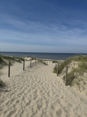 Viele tolle Strandabschnitte in der Umgebung 