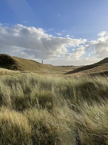 Spazieren durch Dünen - traumhaft schön 