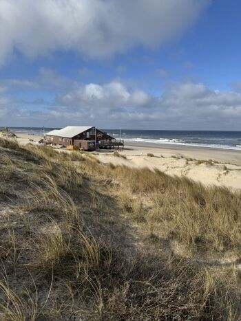 Strandrestaurant in der Nähe 