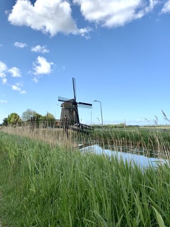 Windmühle in der Umgebung 
