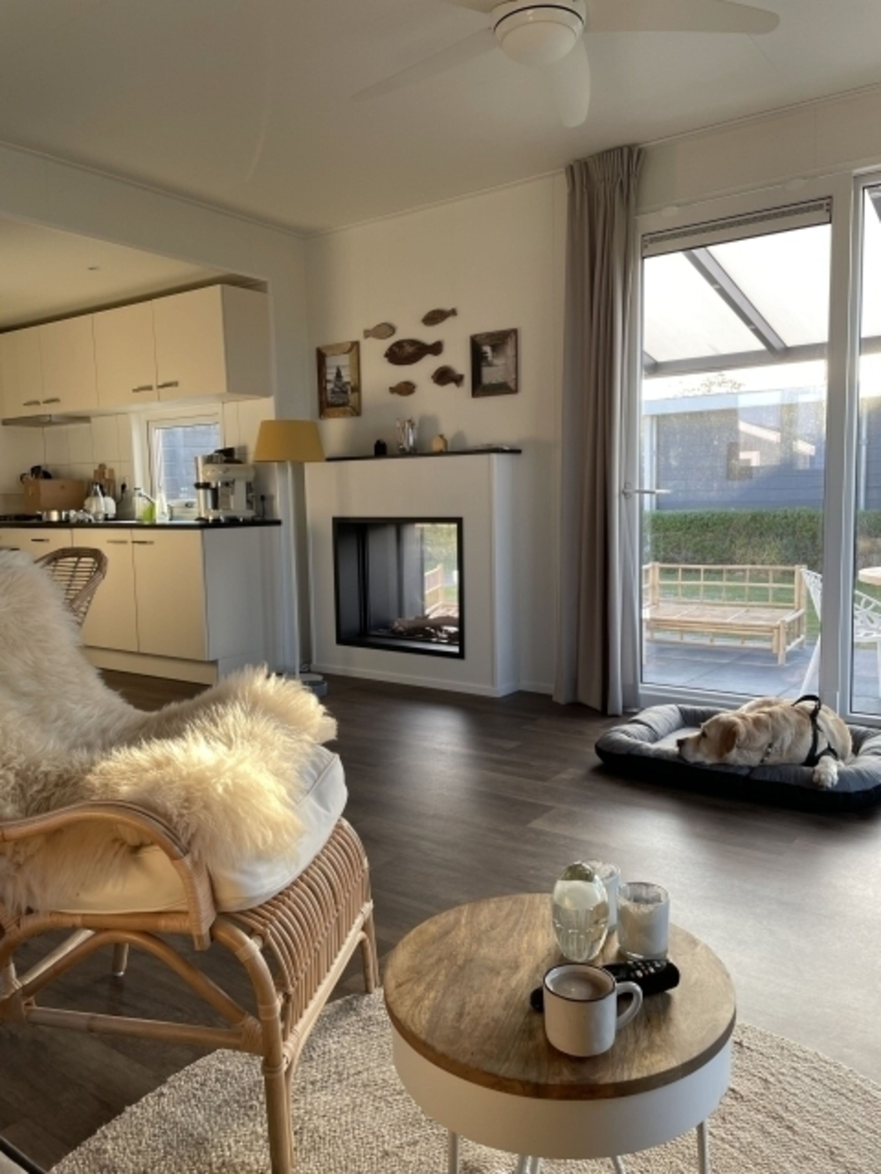 Hier fühlt sich auch Ihr Hund wie Zuhause 