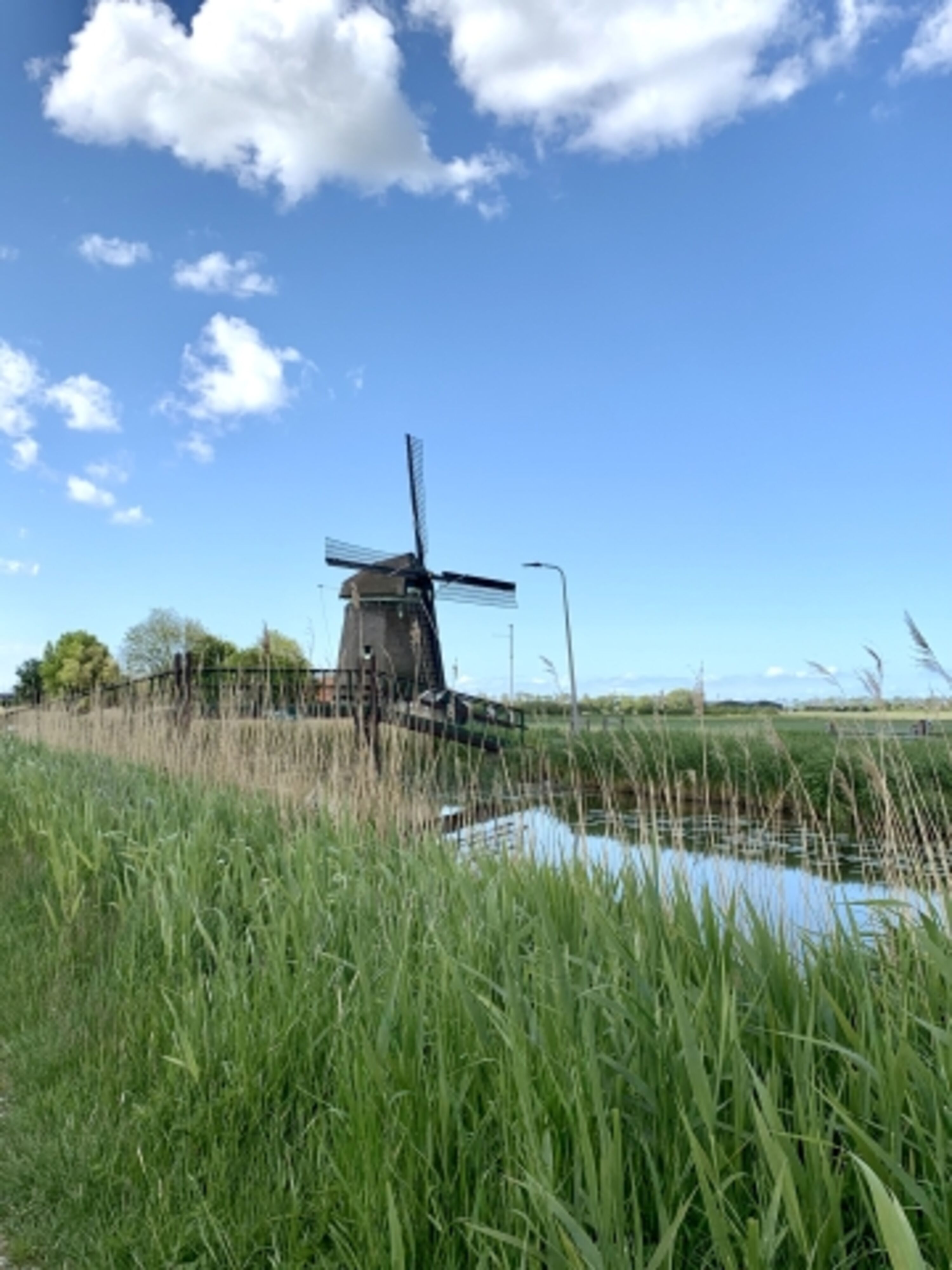 Windmühle in der Umgebung 
