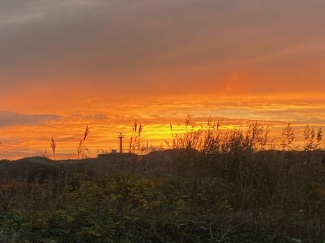 Blick von der Terrasse/Wohnzimmer