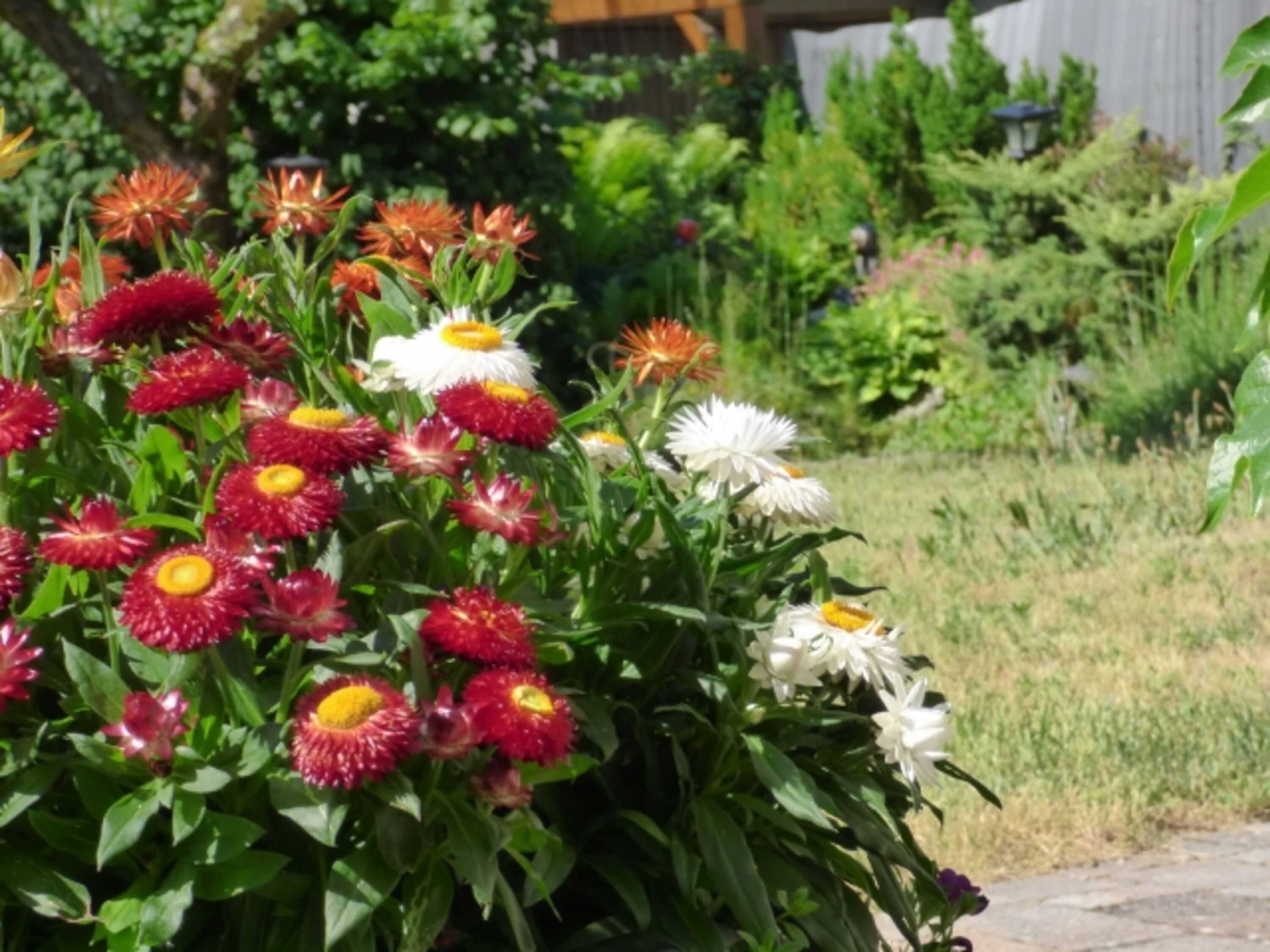 Garten
