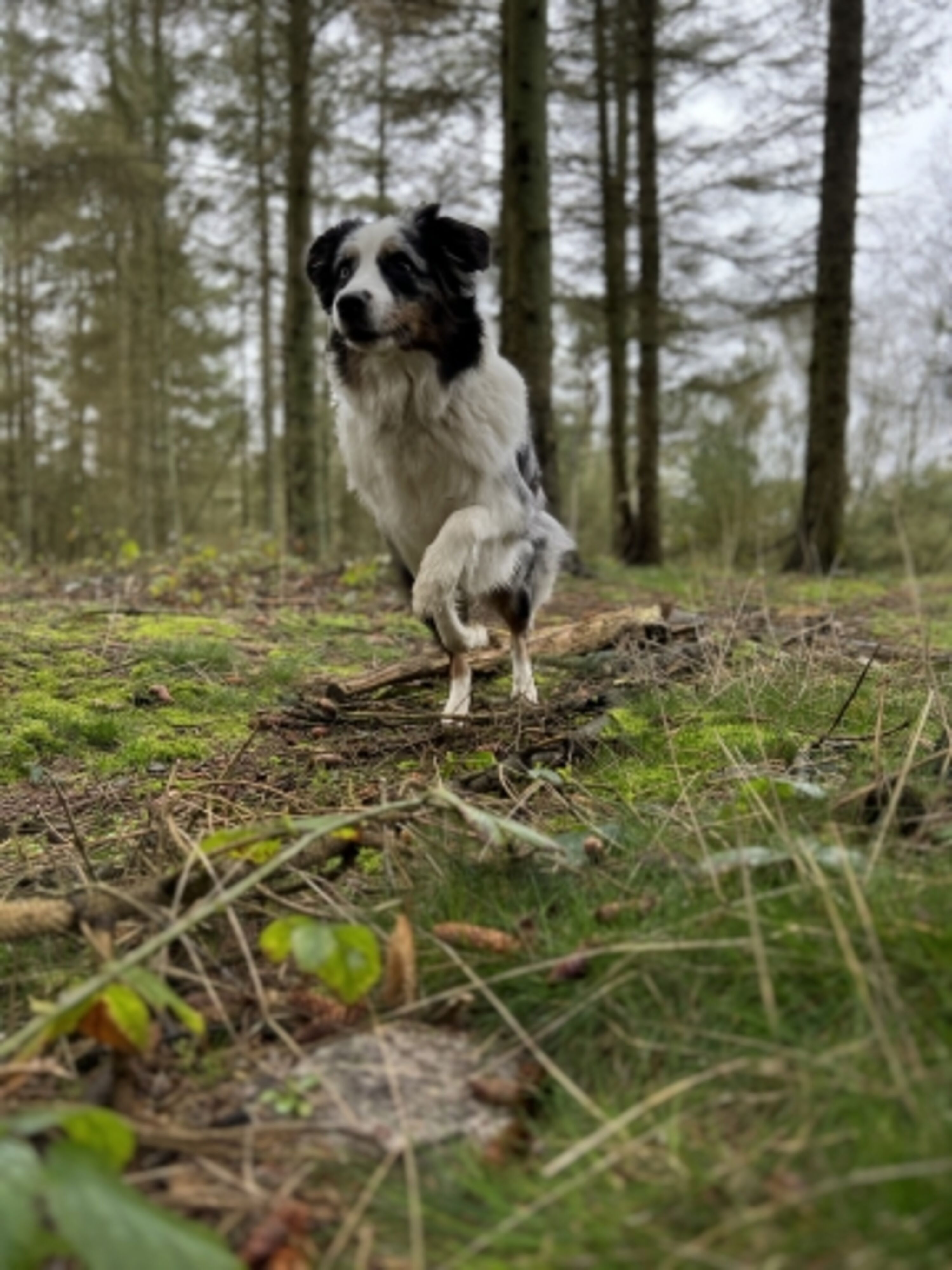 Bild 19