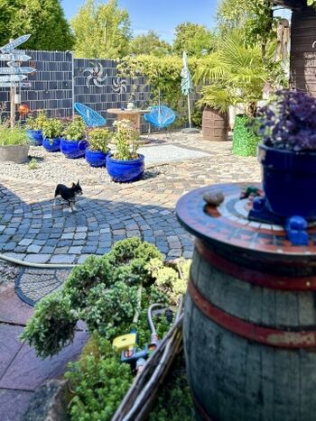 Sitzplatz mit Gasgrill.