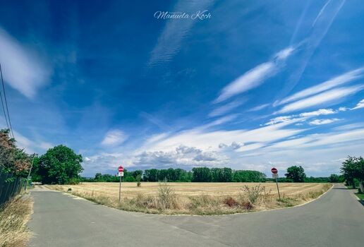 Feldweg 10 Meter vom Haus entfernt.