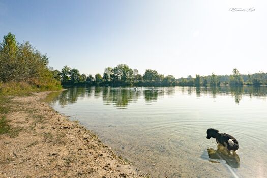 Jägerweiher. Hunde erlaubt.