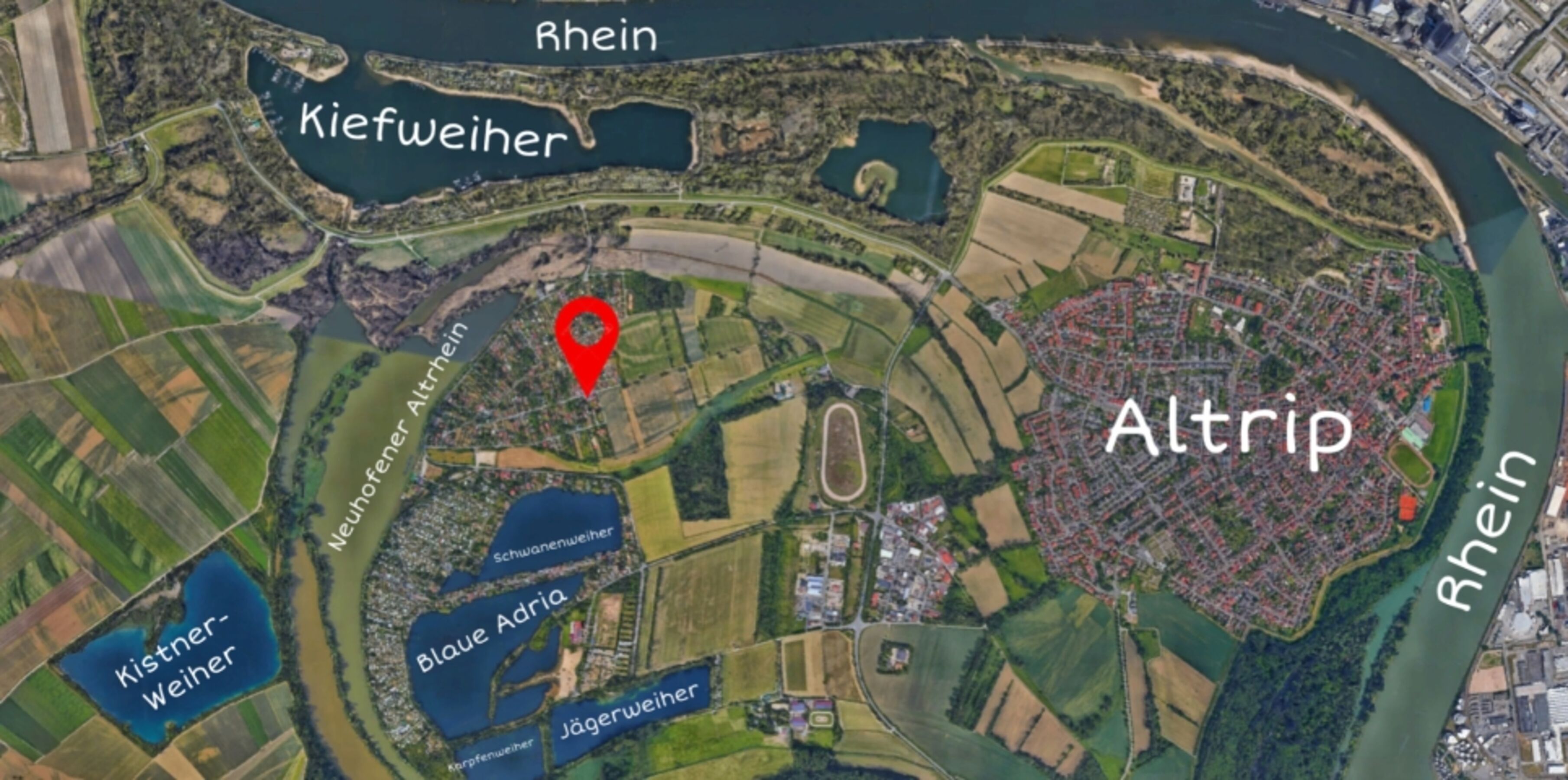 Wo du sein wirst.