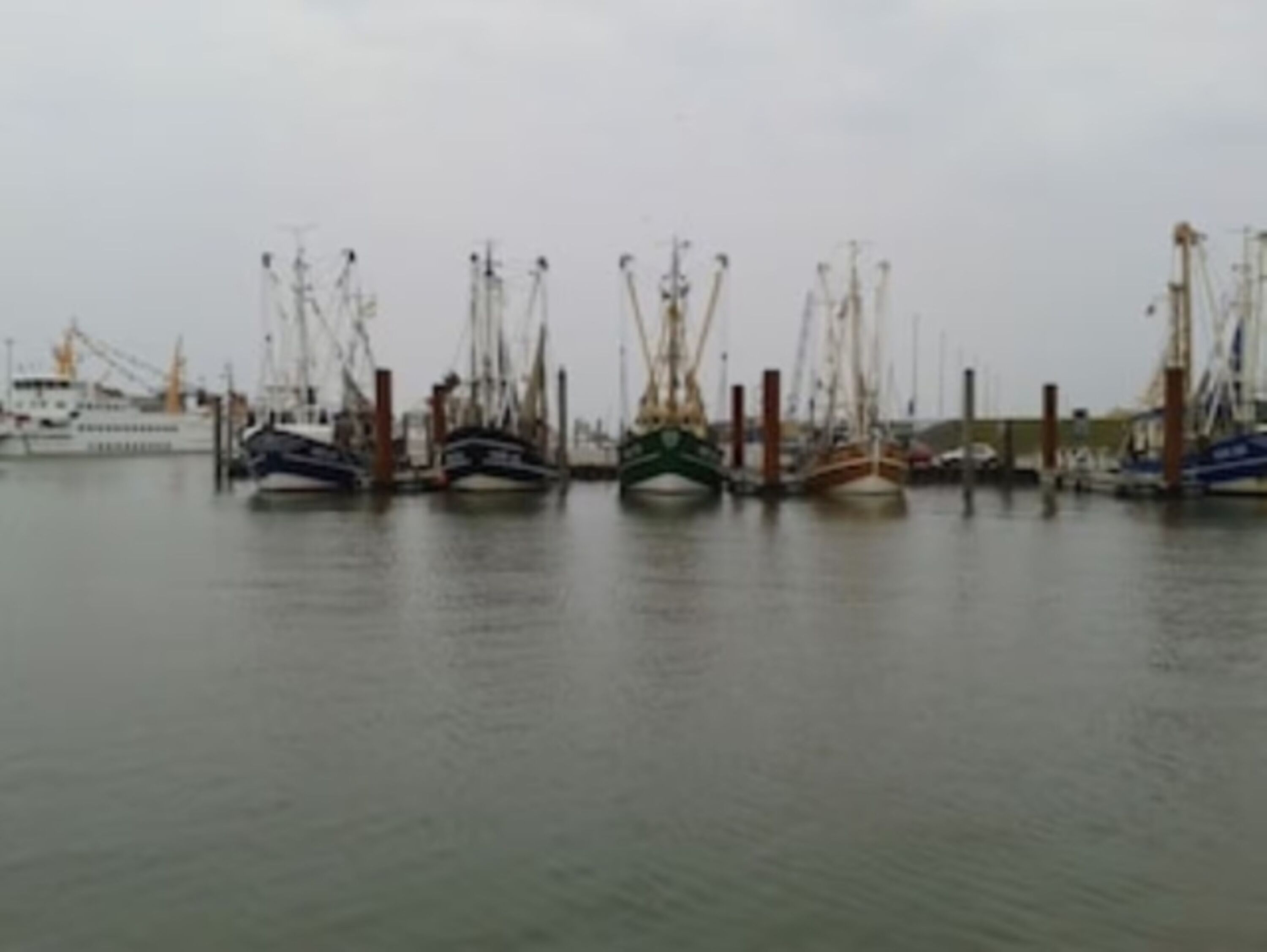 Fischkutter im Osthafen