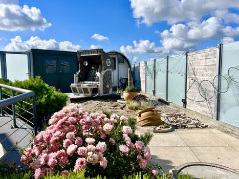 gemeinschaftlich genutzter Saunagarten für Kegelrobbe und Silbermöwe