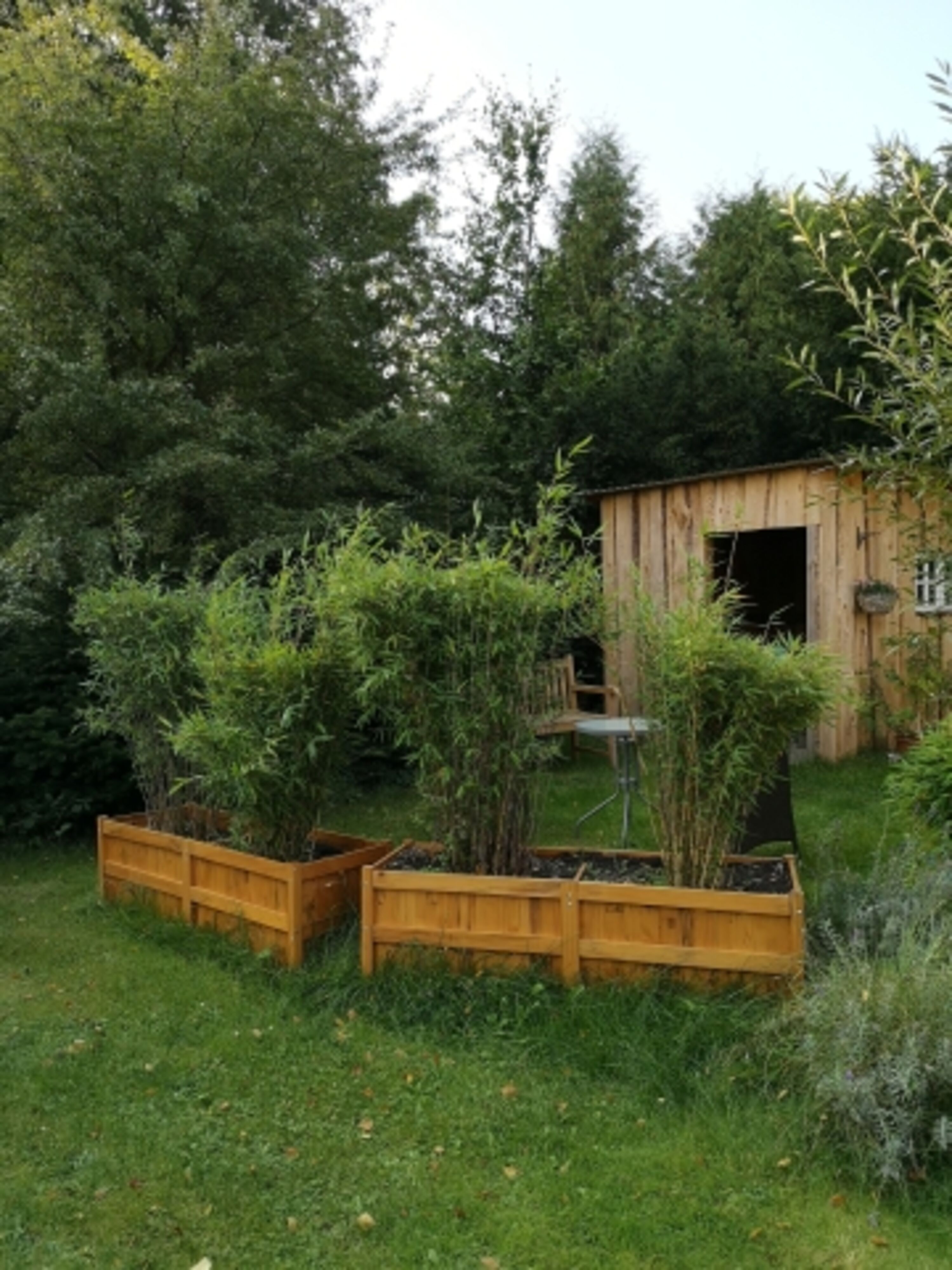 Gartenbereich