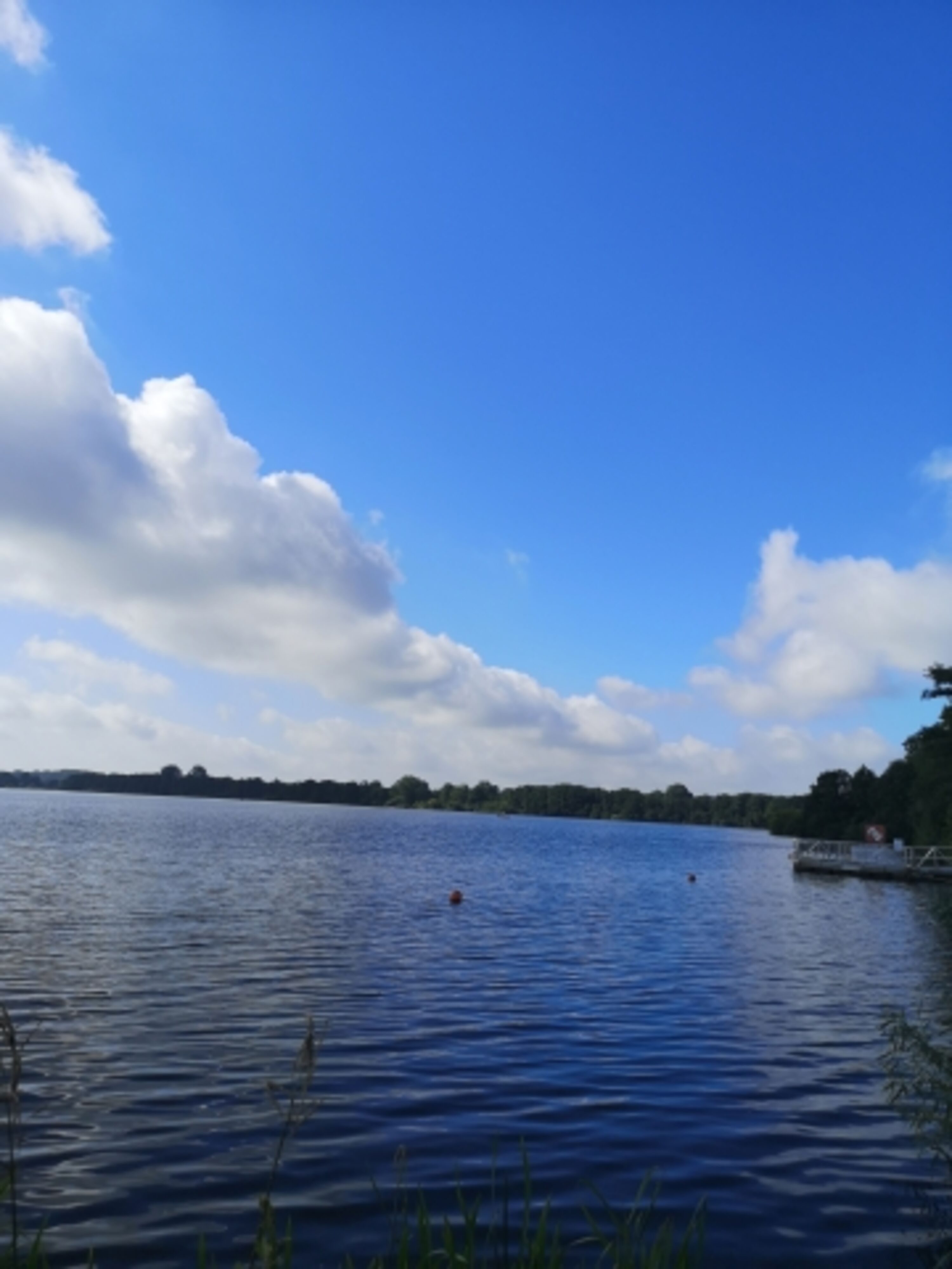 Wittensee
