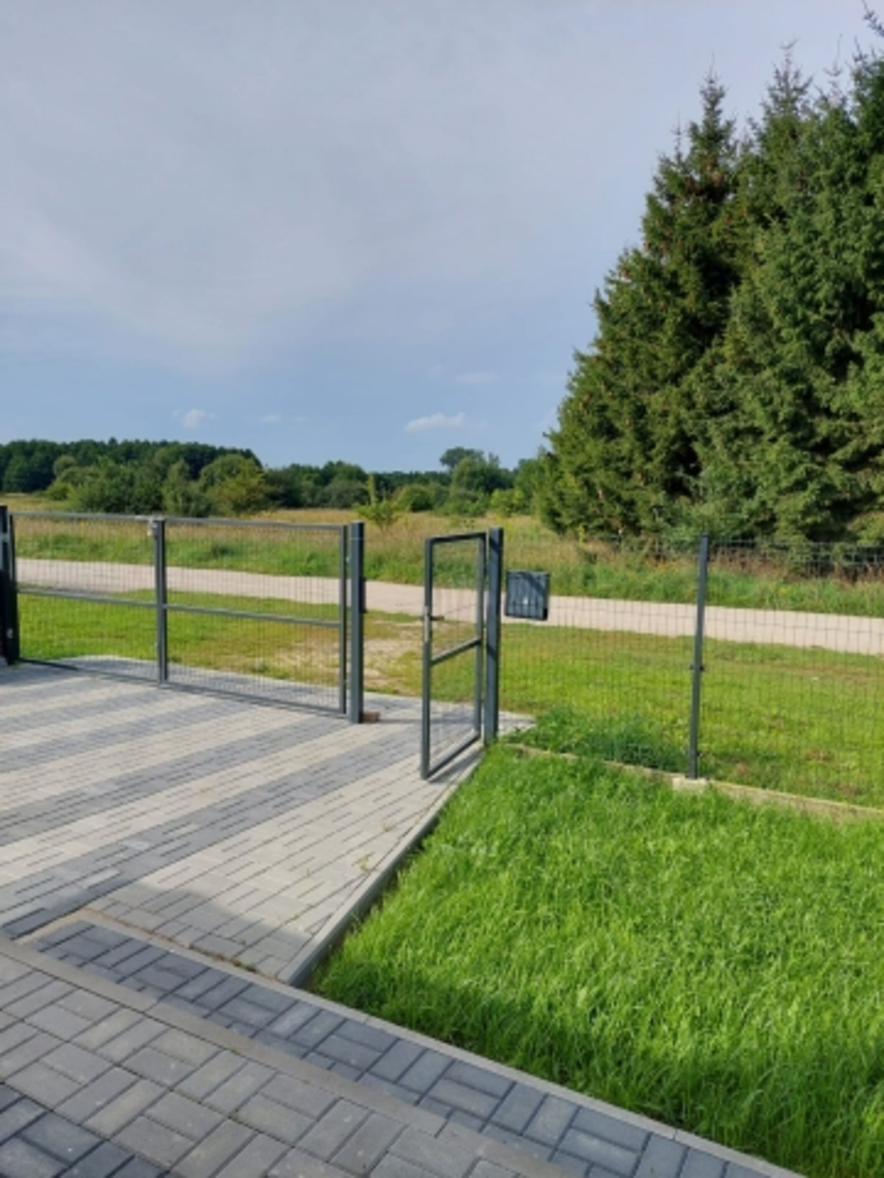 Bild 19