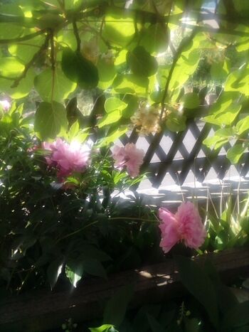 Eingang Straßenseite