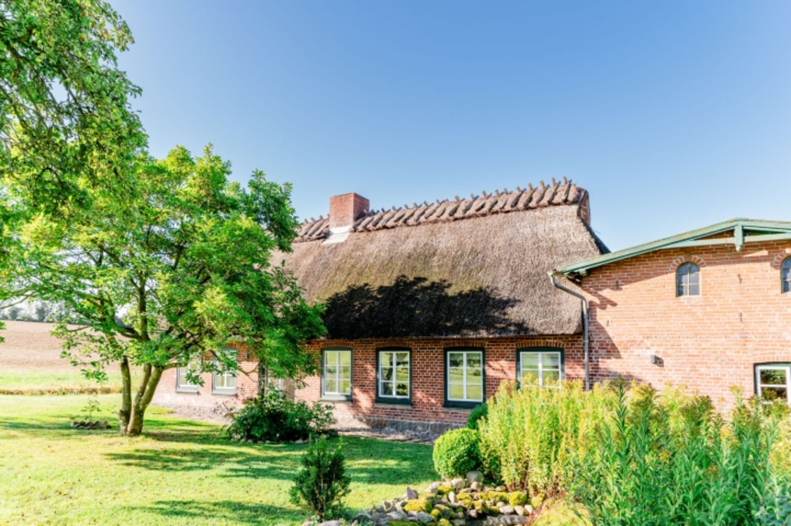 Reethus Mühlenlund im Sommer