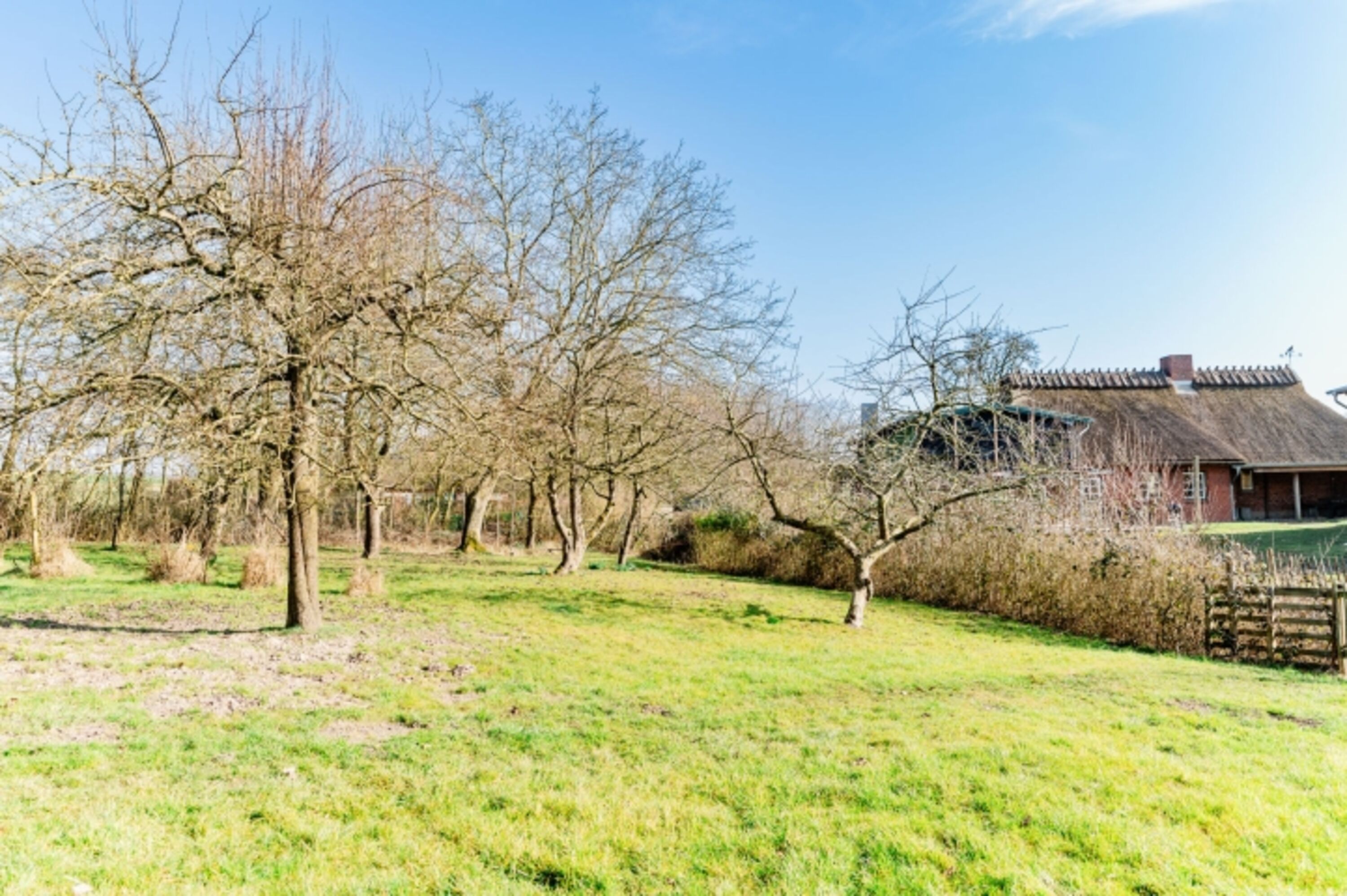 Außenbereich am Mühlenbach mit Obstwiese