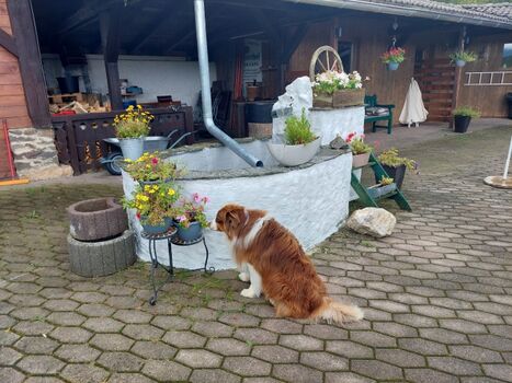 Brunnen auf der Terrasse