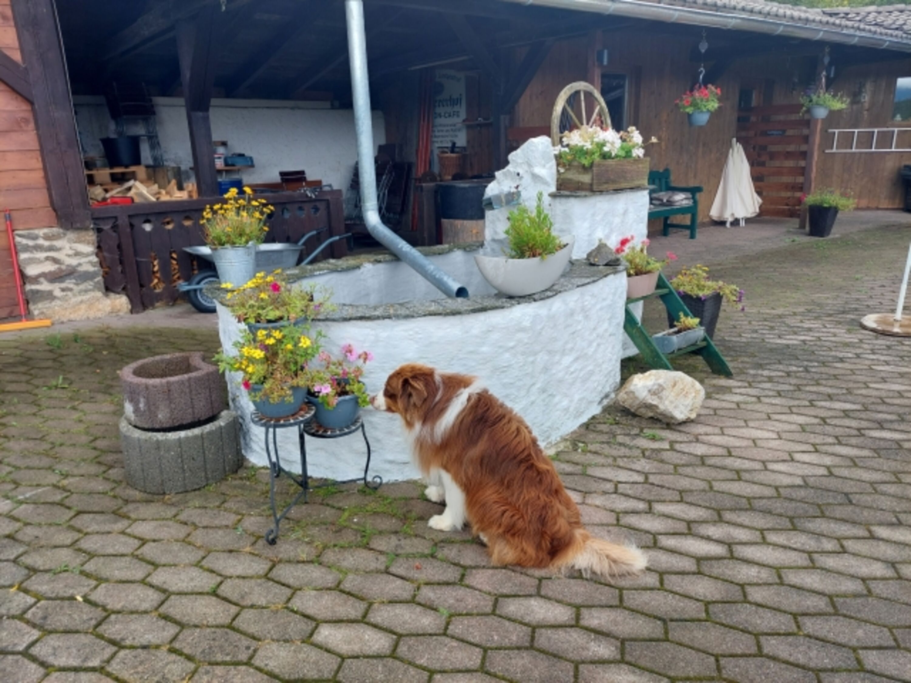 Brunnen auf der Terrasse