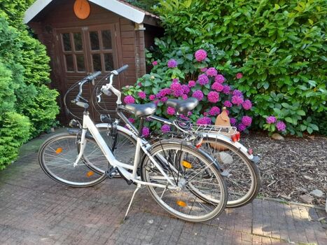 2 Leihfahrräder für 15 €/Nacht