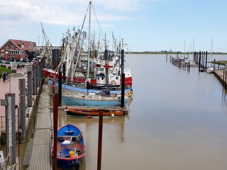 Fischkutter im Hafen von Ditzum