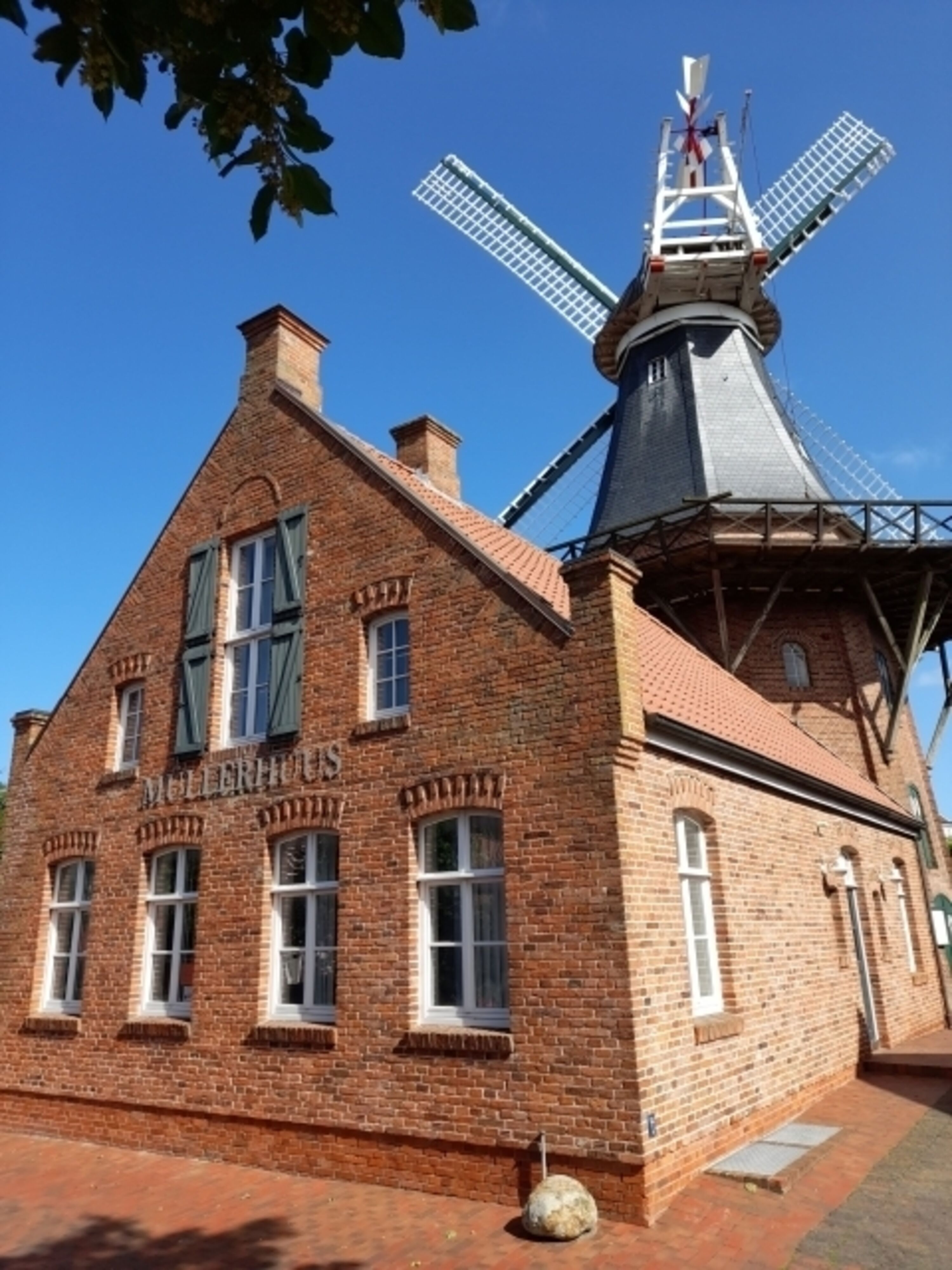 Mühle in Ditzum
