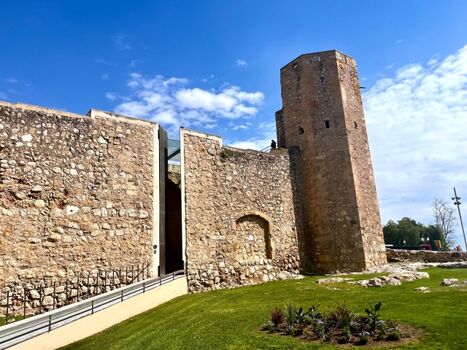 Römischer Zirkus (Museum)