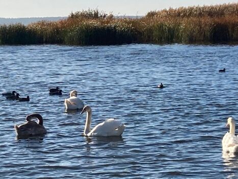 Wunderschöne Einblicke in die Natur