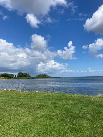 Stettiner Haff in Altwarp