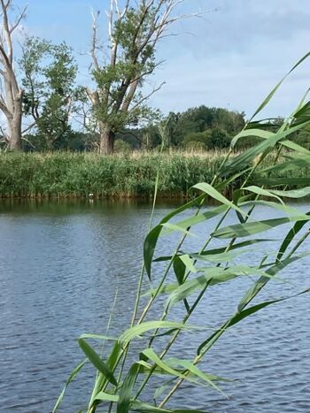 Romantische Stille Buchten in Altwarp