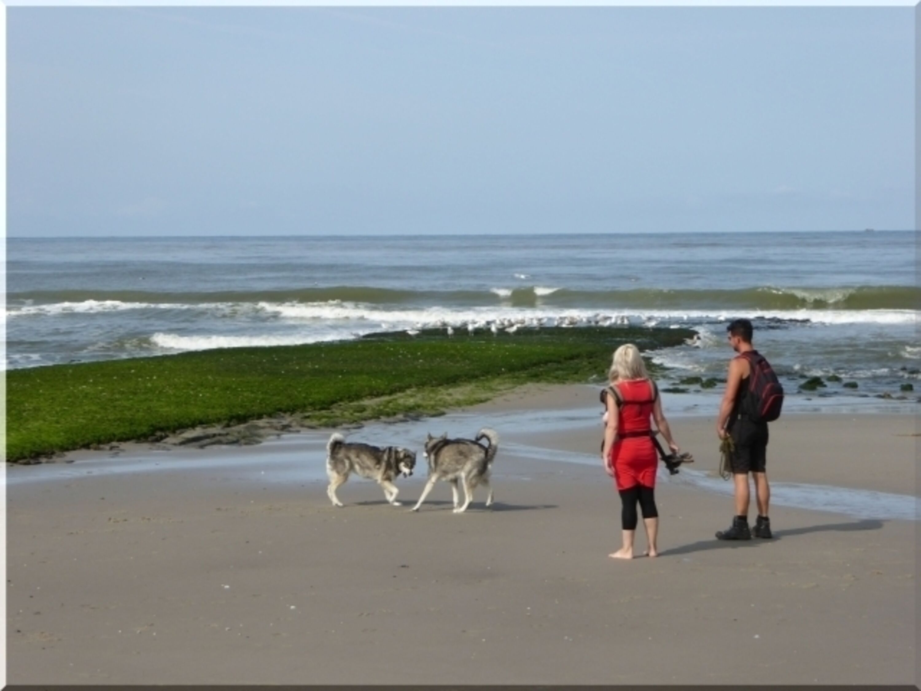 Bild 14