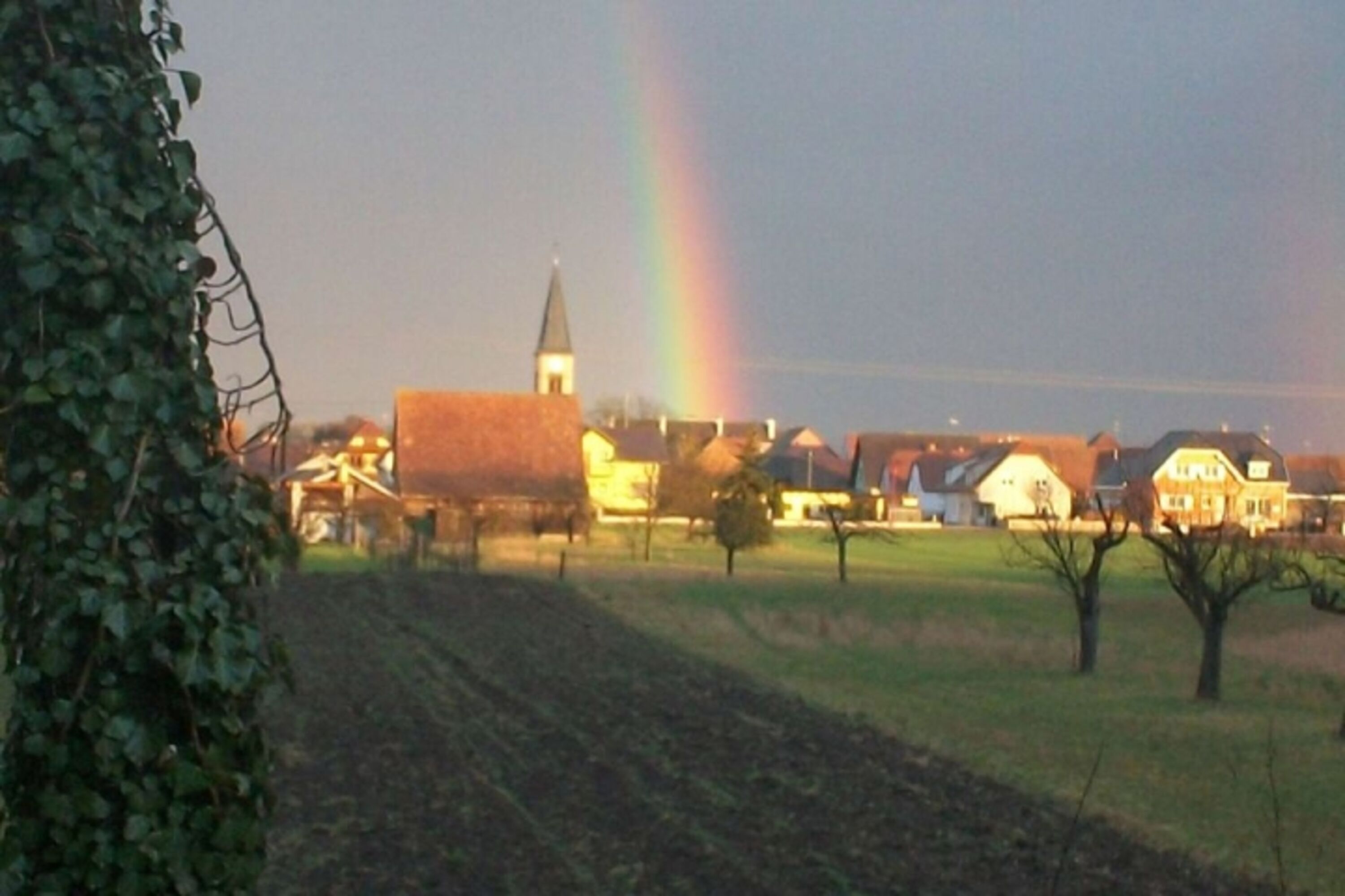 Bild 20