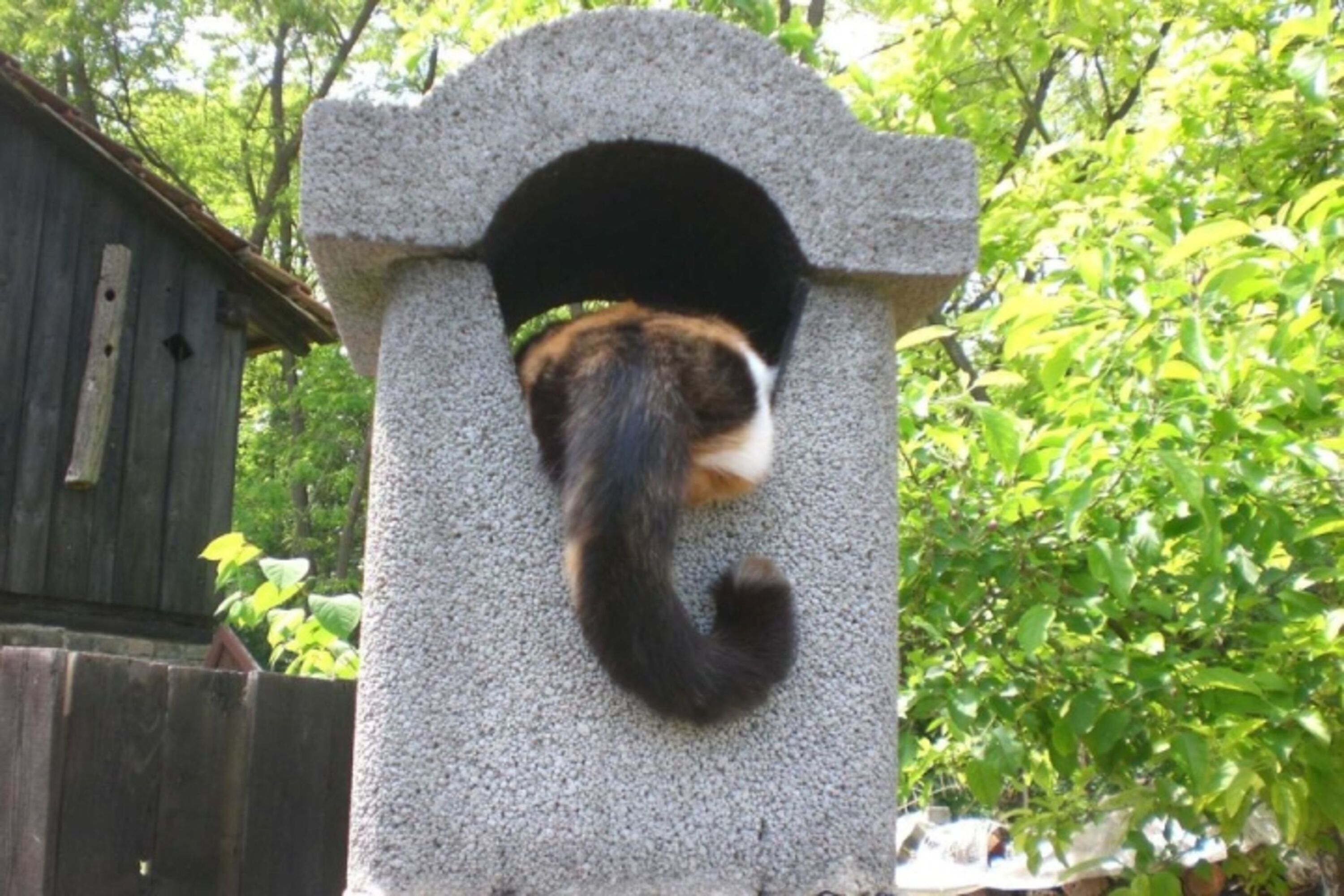 Ooouuups...pardon