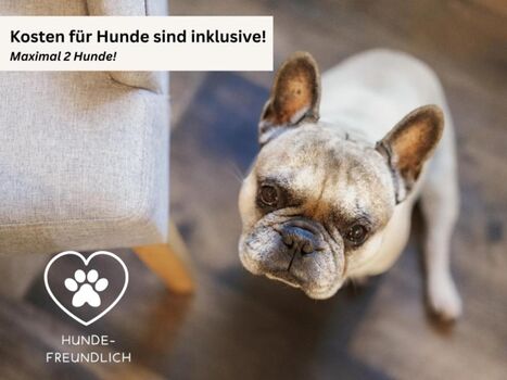 Hunde sind erlaubt