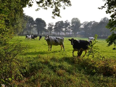 Aussicht von der Terrasse