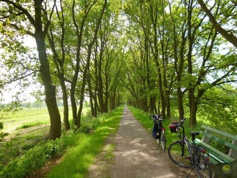 Ostfrieslandwanderweg in der Umgebung