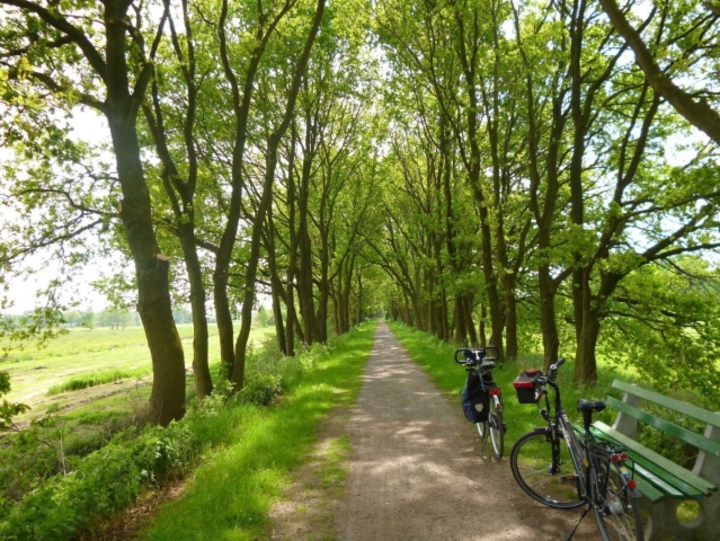 Ostfrieslandwanderweg in der Umgebung
