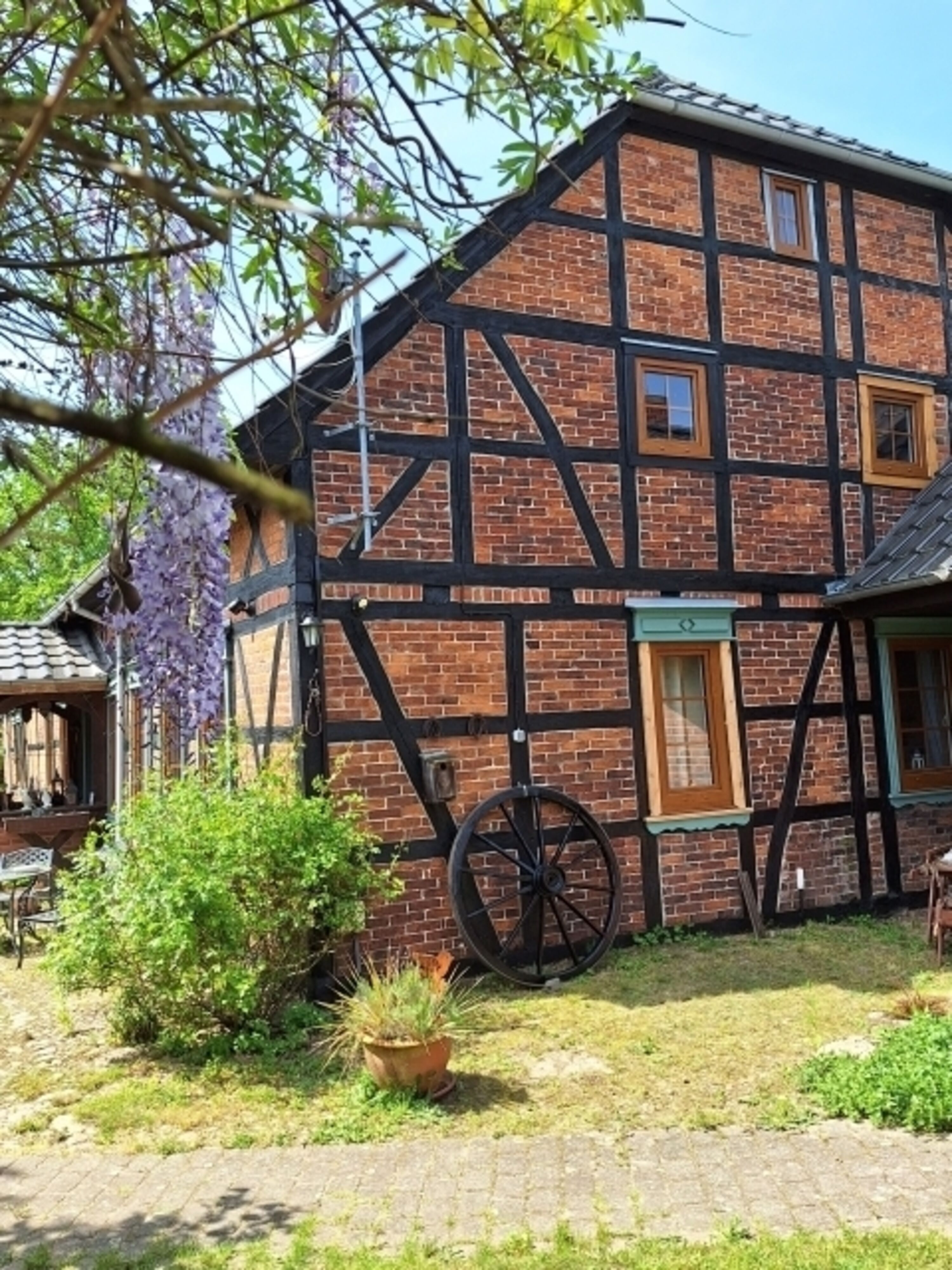 Bild 1
