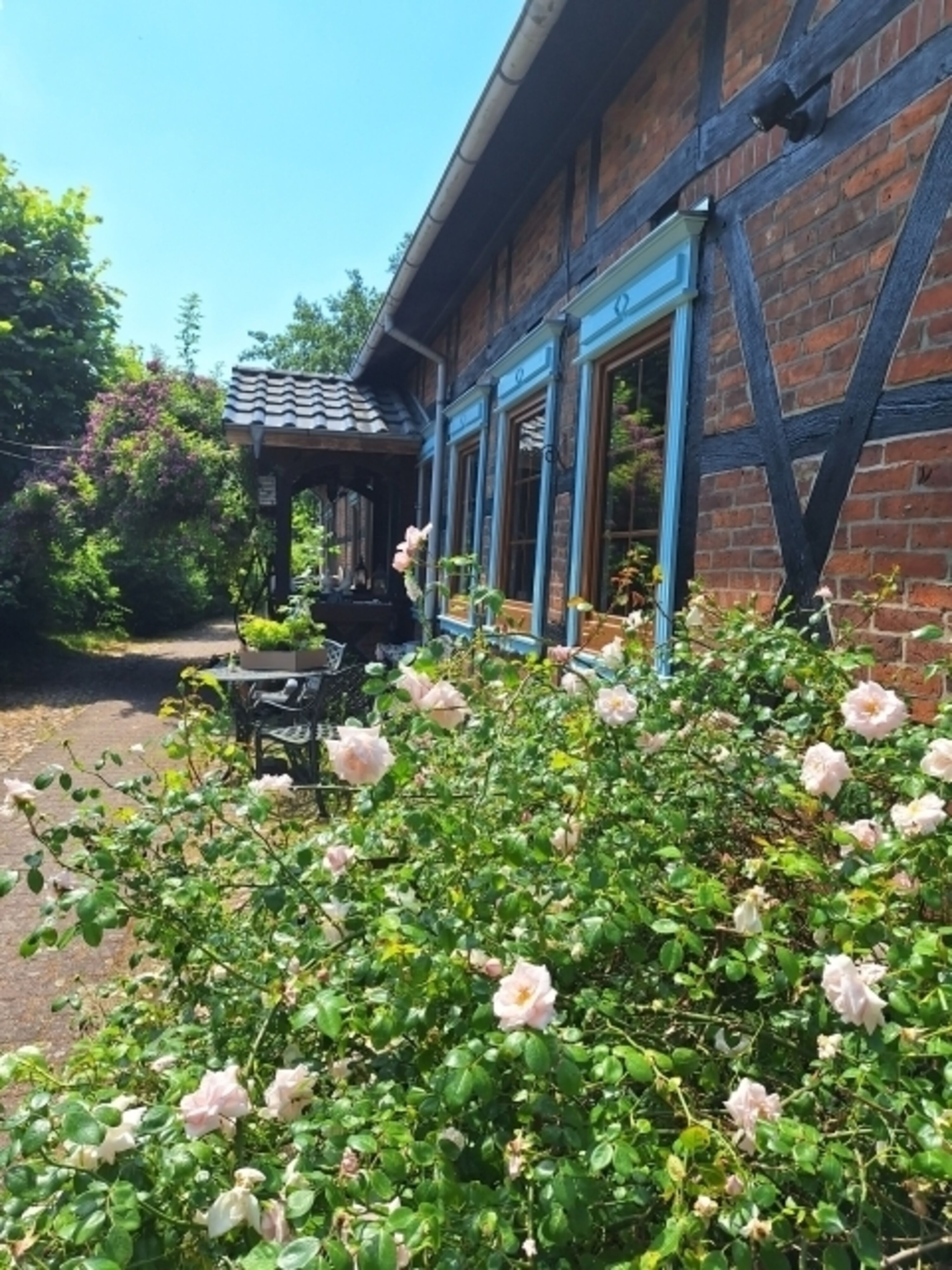 Bild 4