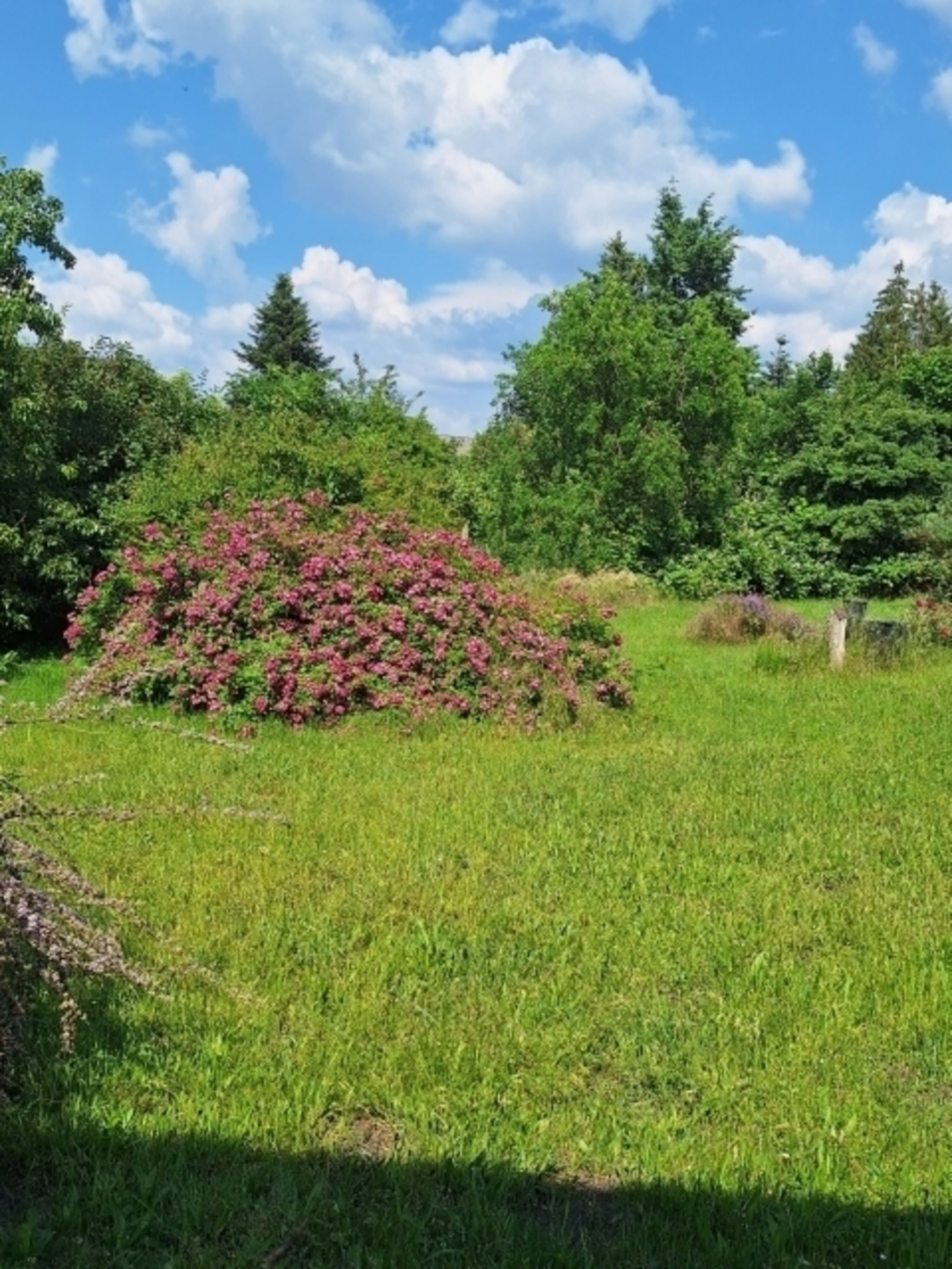 Bild 21