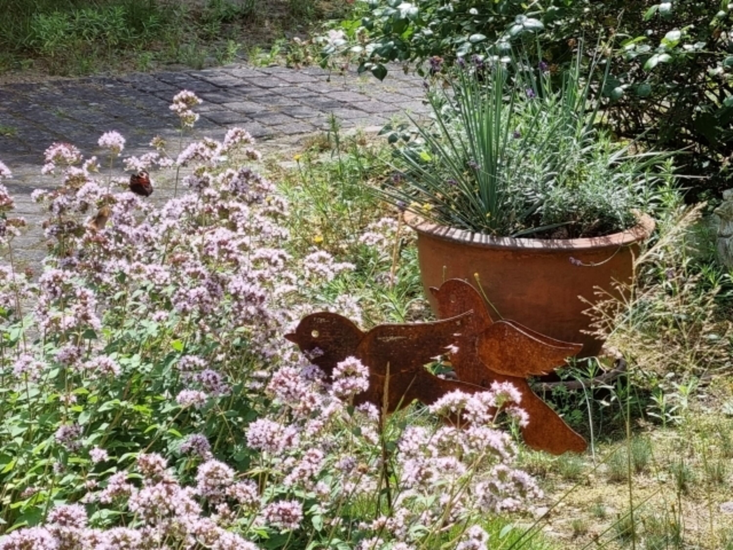 Bild 13