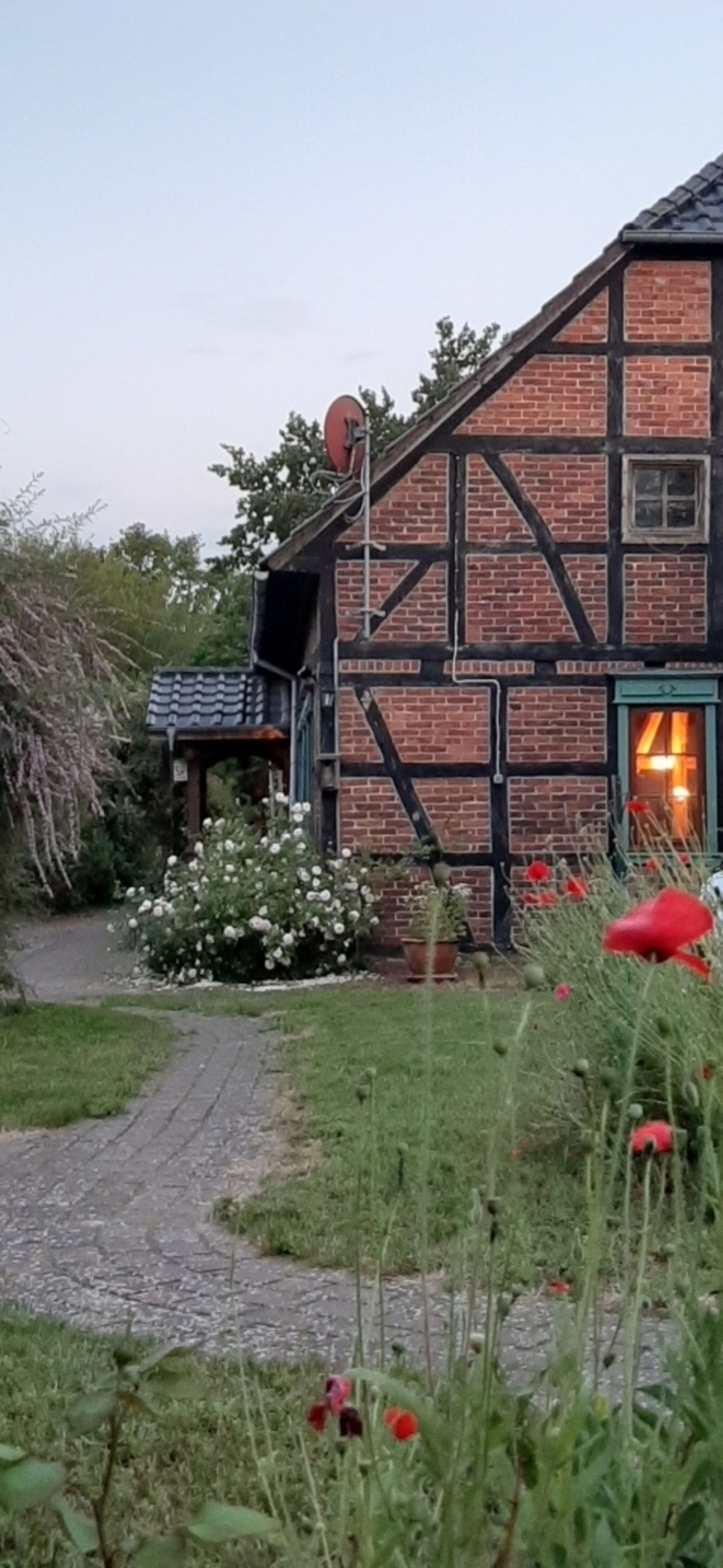 Bild 8