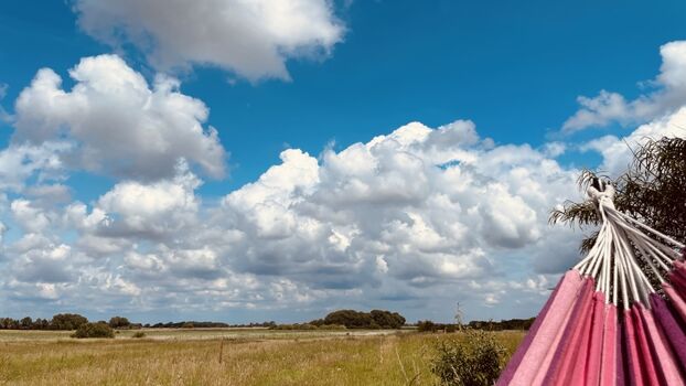 Abhängen unter nordfriesischem Nolde-Himmel?