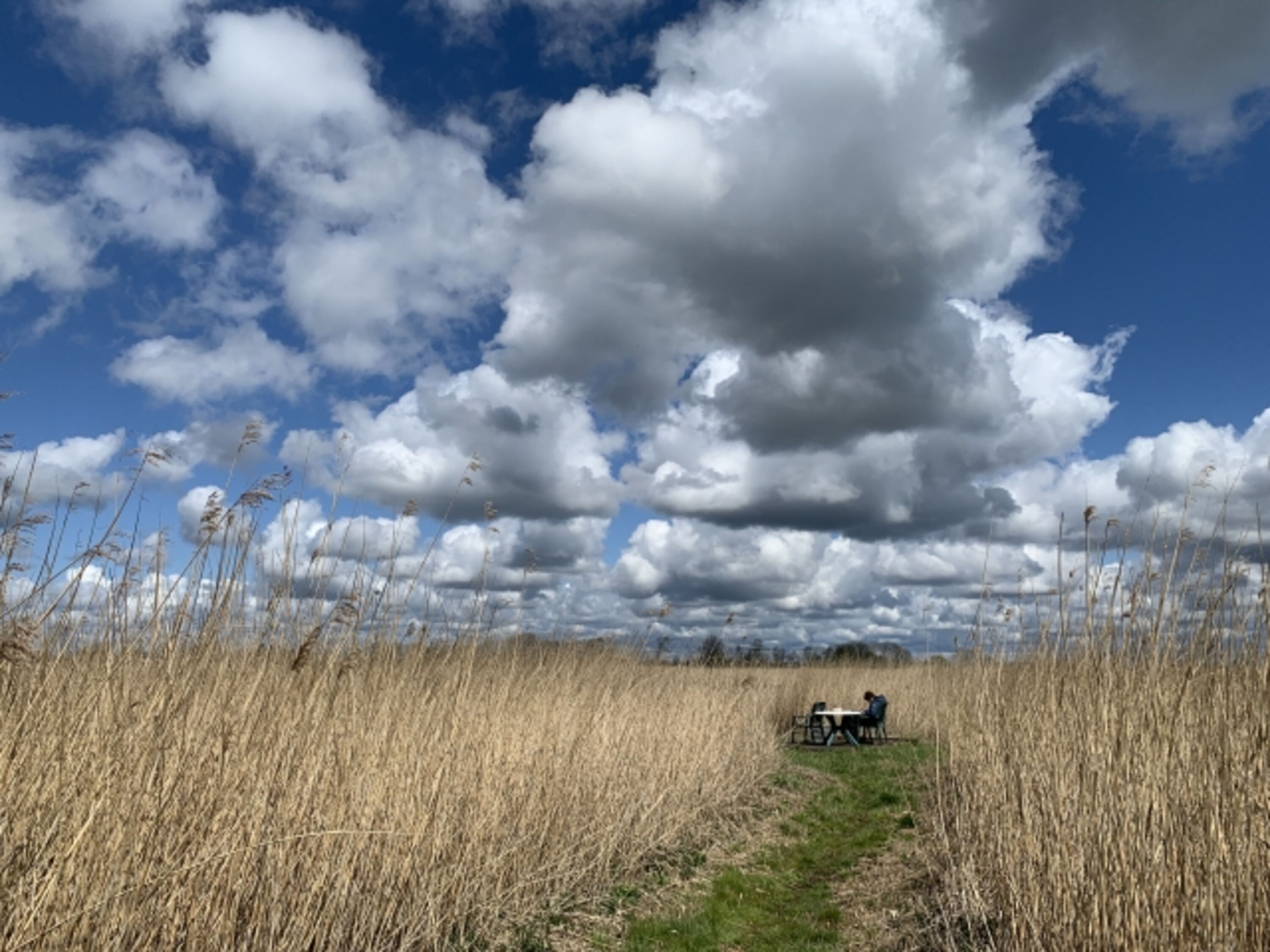 Entspannung im Schilf an der Vogelschutzseenlandschaft