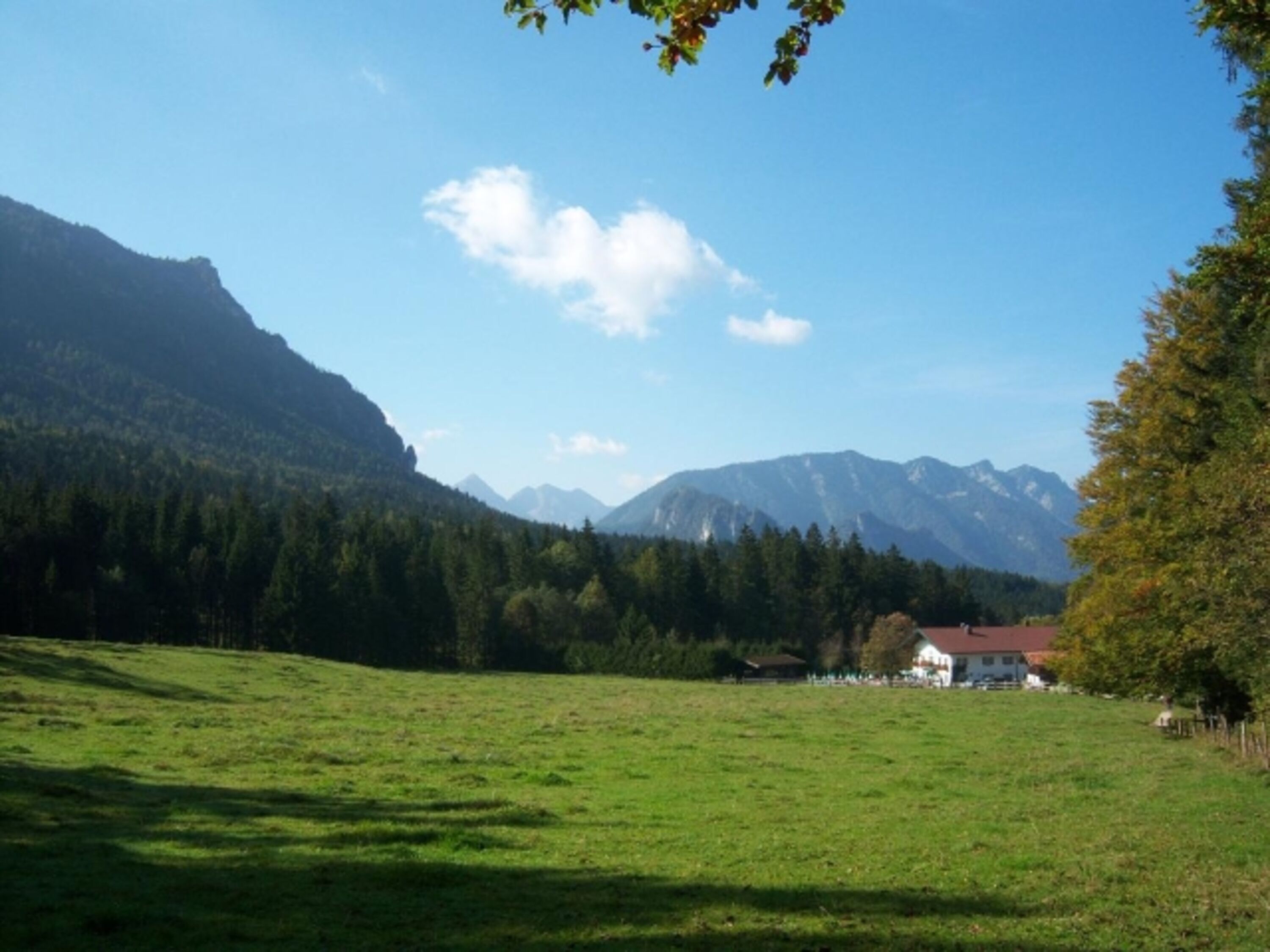 Bild 8