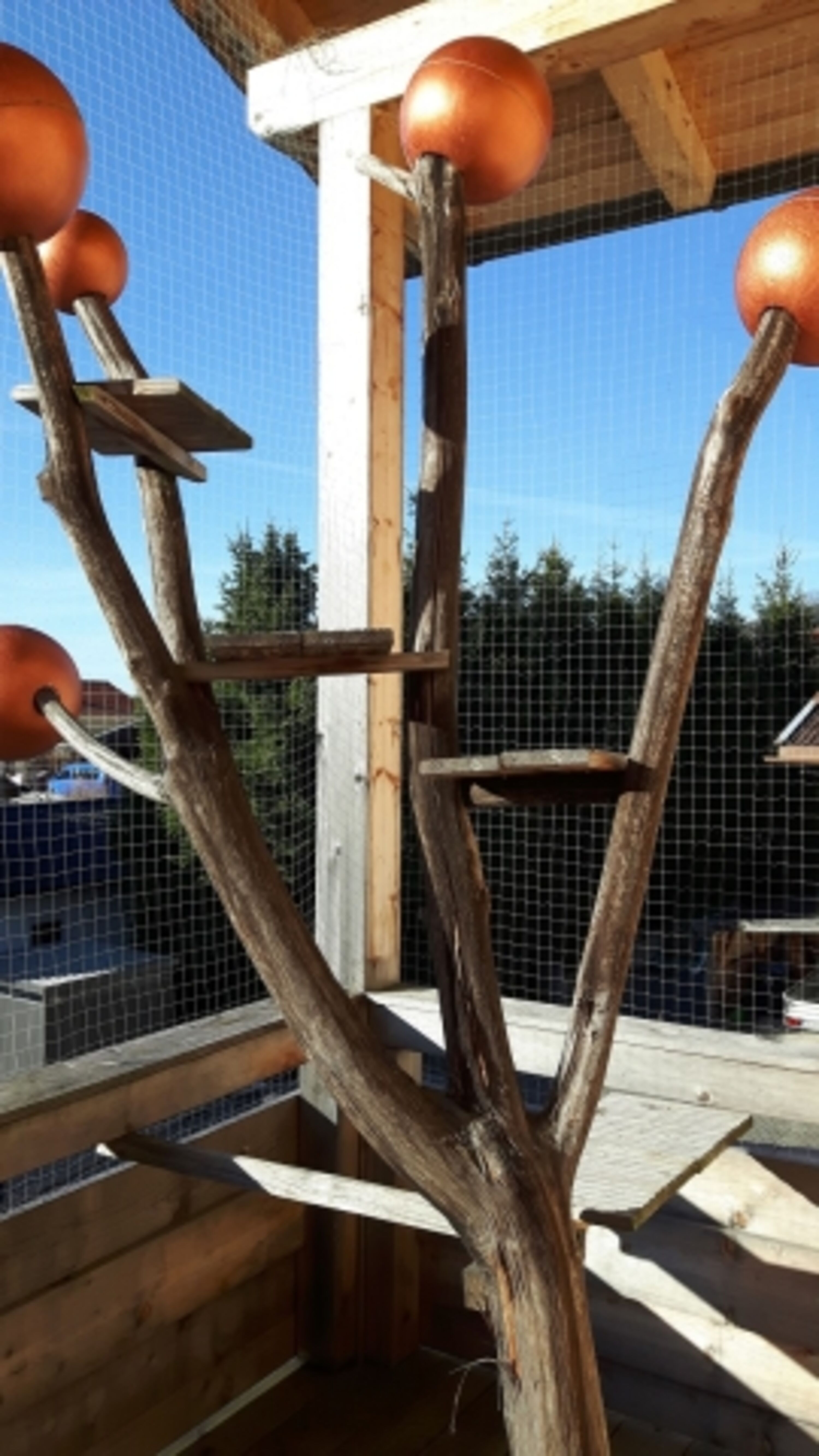 Bild 15