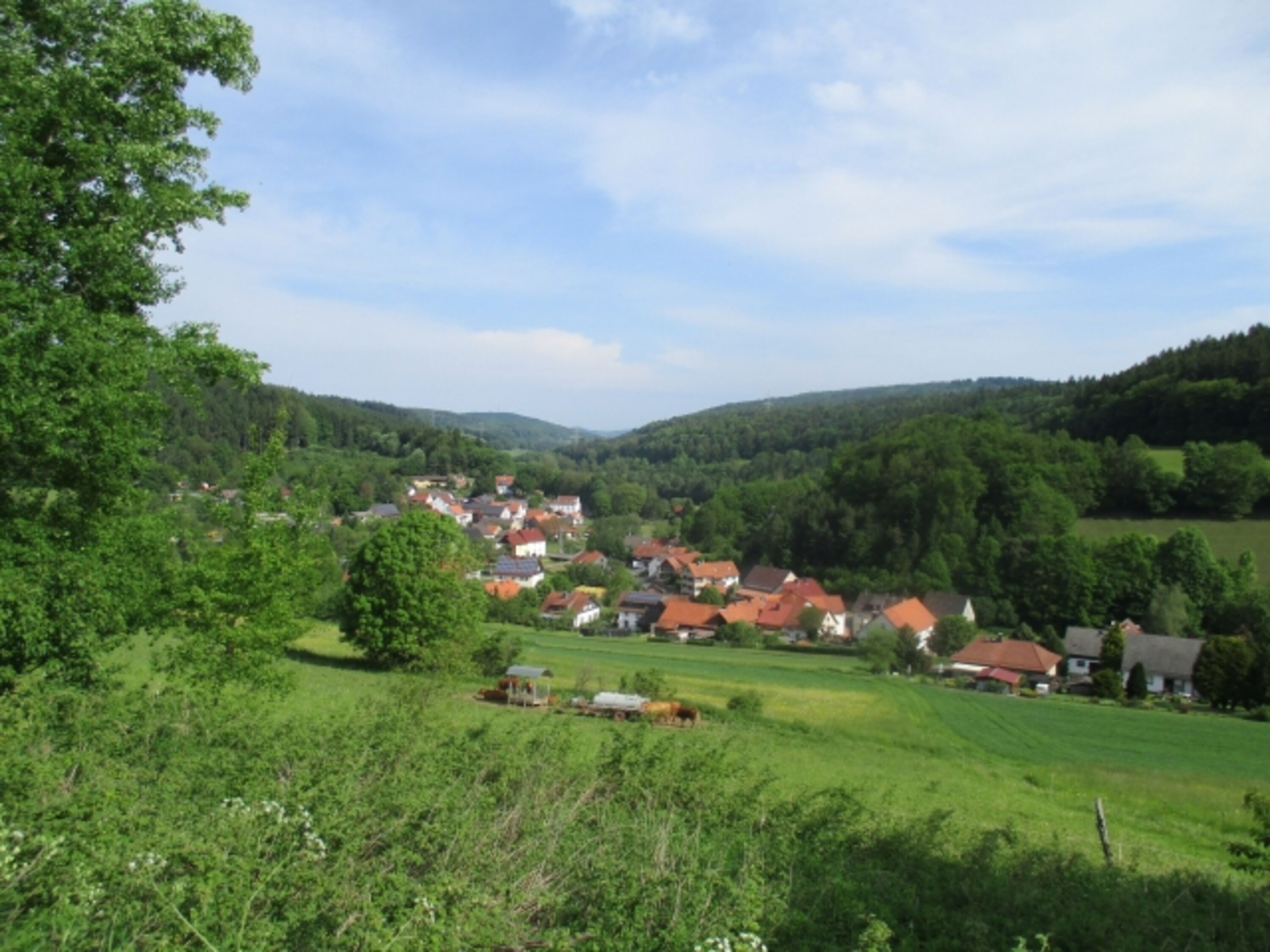 Bild 28